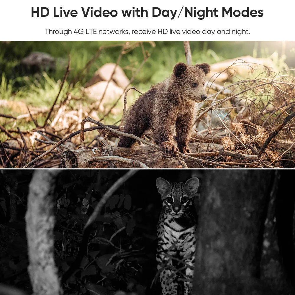 4G WiFi Solar Außenkamera 2K HD Farbnachtsicht