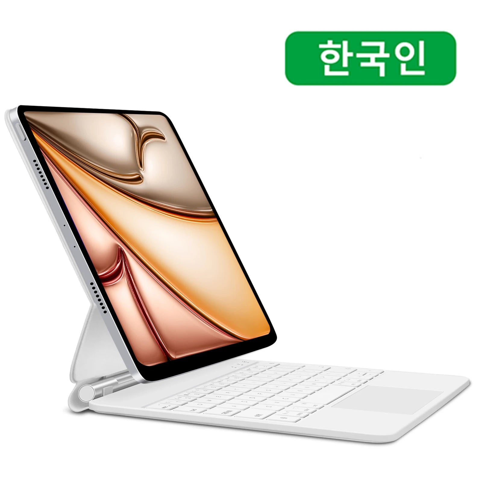 GOOJODOQ Magic Keyboard iPad Hülle