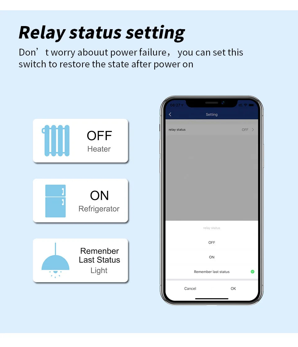 10A Smart Plug EU mit Tuya App & Sprachsteuerung